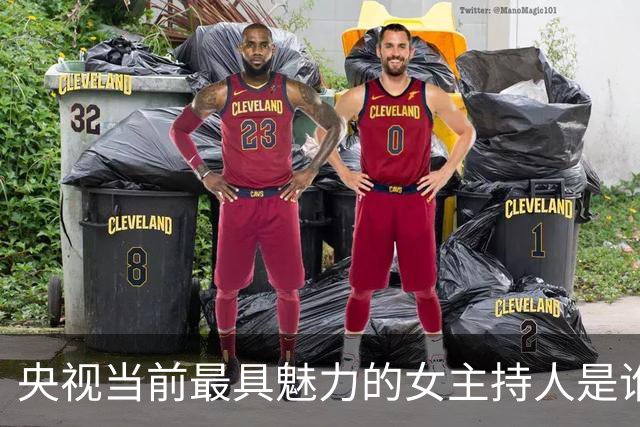 央视当前最具魅力的女主持人是谁？